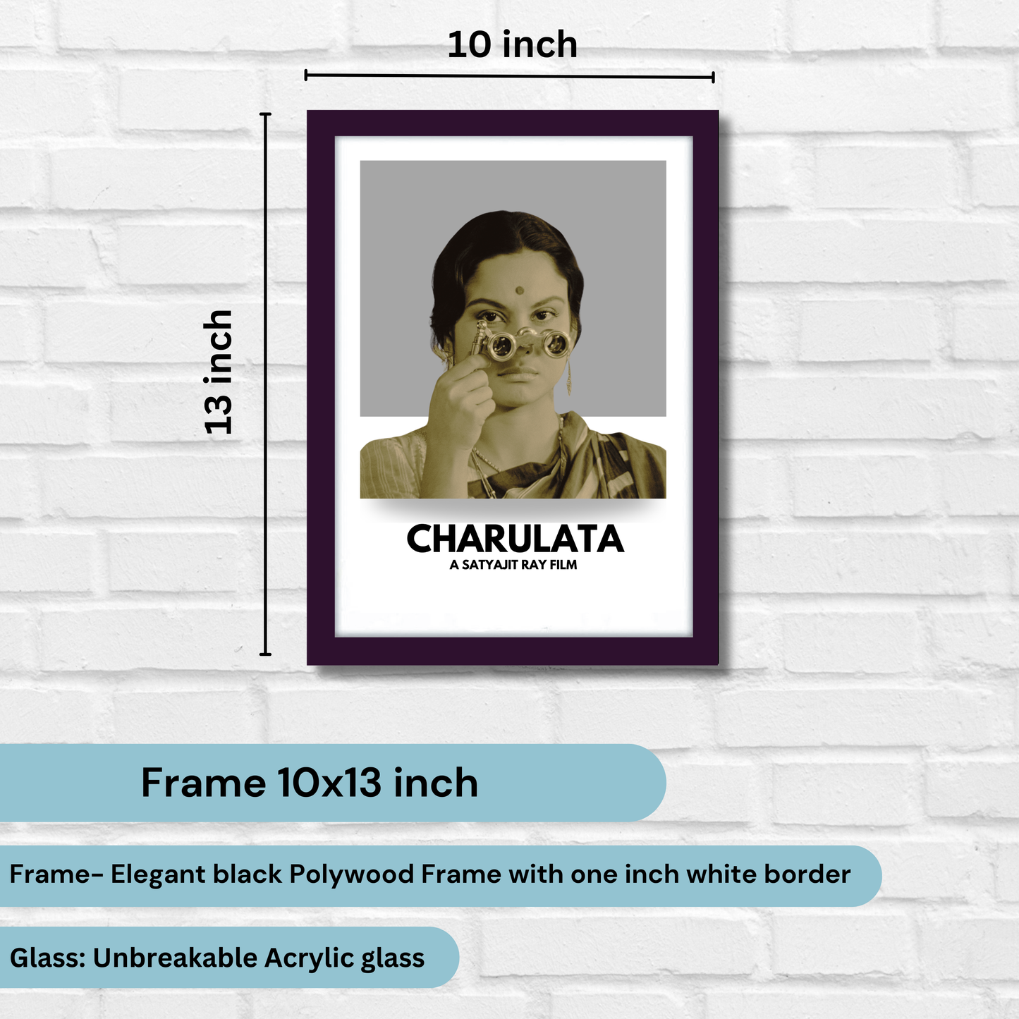 Charulata Satyajit Roy's Movies Artwork Bollywood | Poster | Frame | Canvas