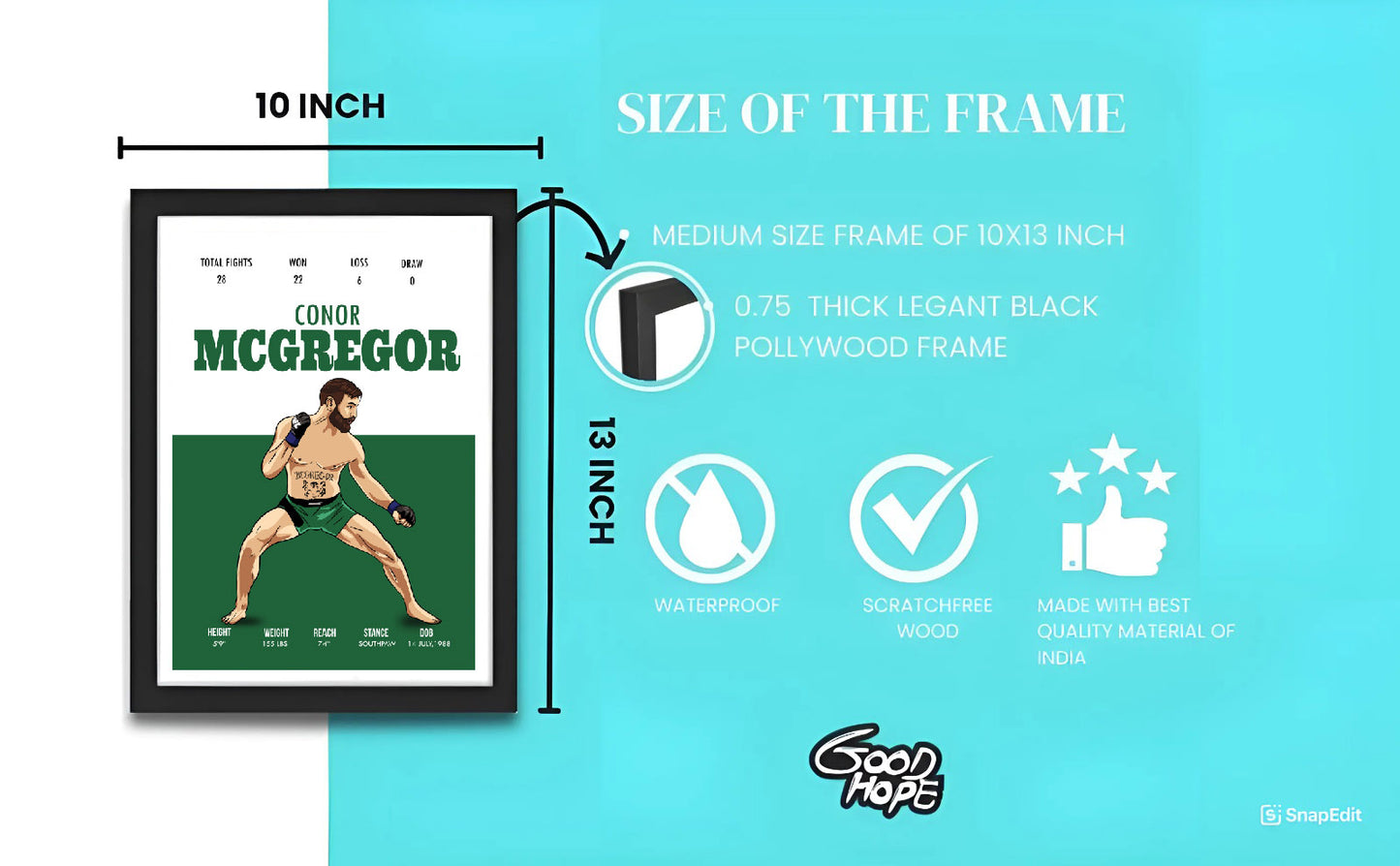 Conor McGregor Artwork