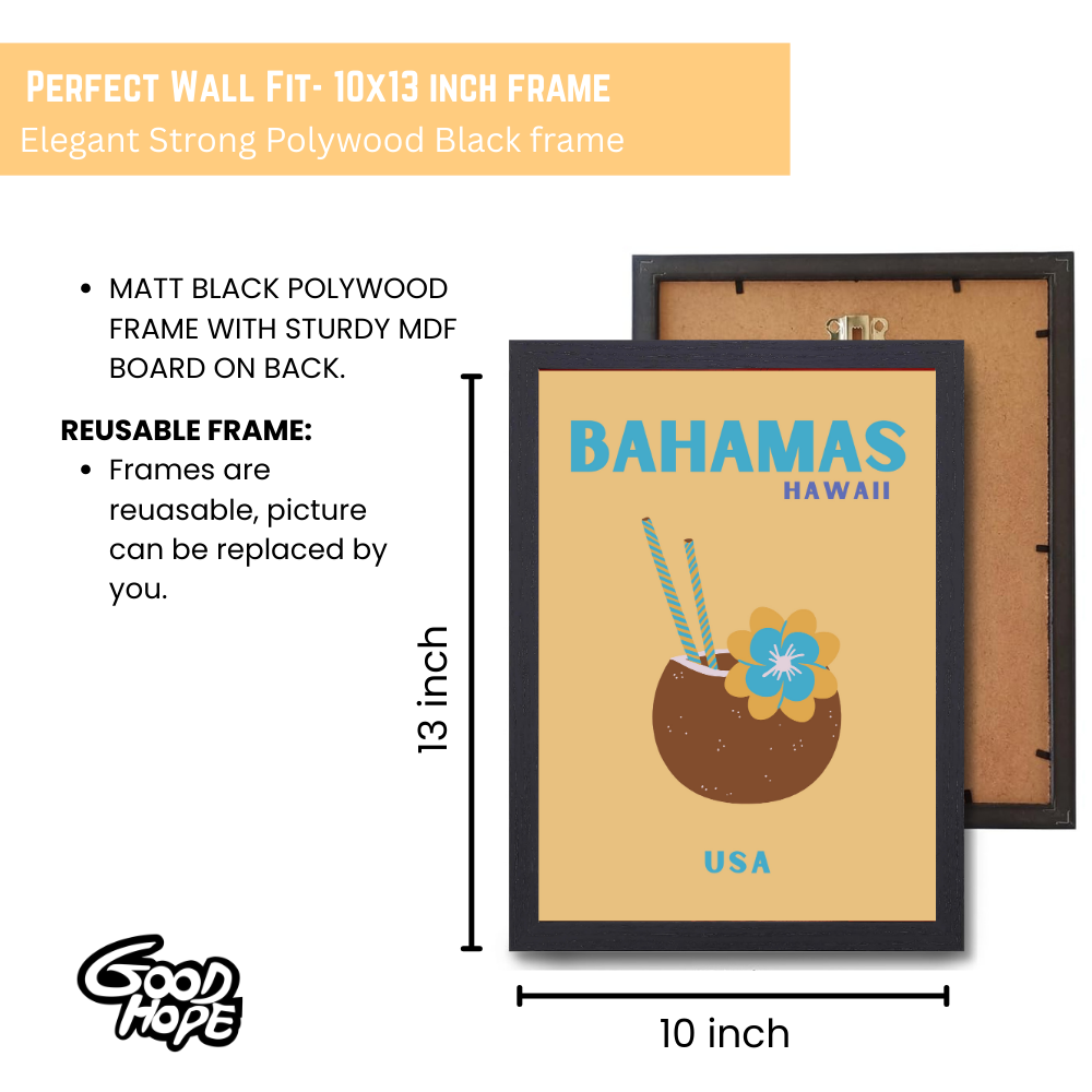 Traveling Theme wall Frame, Wall Frames for Living Room, Framed Travel Photo Frames for wall decor, Travel Frame for wall decor, room decor, Hostels, Hotels, Restraunts Bahamas Hawaii Wall Art