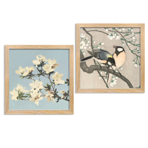 frames for wall decor set of 2, combo photo frames for wall, photo frames for wall decor combo, flower painitings for wall, flower painitings, flower painitings with frame, flower painitings large, flower painitings for bedroom, flower paintings for living room affordable price, paintings for living room big size, Aesthetic Wall Frames for Living Room Floral & Bird painting