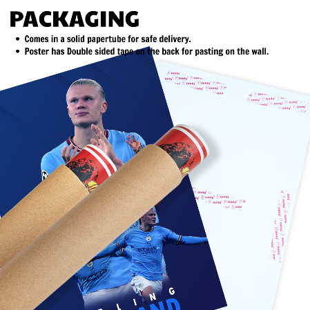 Erling Haaland Poster Frame Norwegian Footballer Framed Posters  Game Sport Players Artwork Canvas Painting with Photo Frames for wall decor for Livingroom restraunt cafe Boys room bedroom turf Home & Office Decoration, erling haaland poster, erling haaland poster man city, erling haaland signed poster, erling haaland framed poster, erling haaland frame, erling haaland framed poster, erling haaland framed jersey, erling haaland signed jersey framed, erling haaland wall art, erling haaland wall sticker