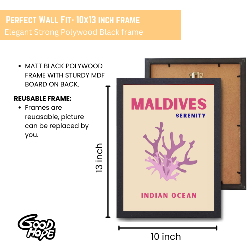 Traveling Theme wall Frame, Wall Frames for Living Room, Framed Travel Photo Frames for wall decor, Travel Frame for wall decor, room decor, Hostels, Hotels, Restraunts Maldives Serenity Wall Art