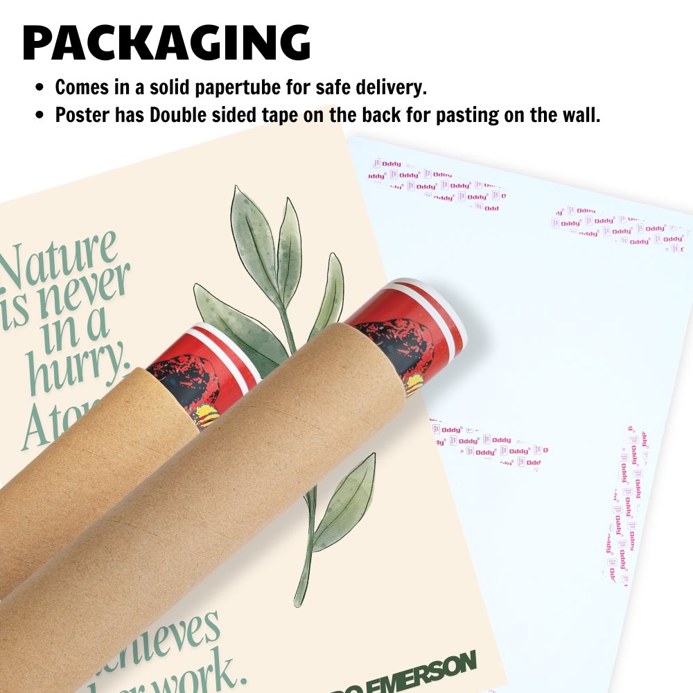 Aesthetic Motivational Quotes Painting Poster Motivationn Quote Posters Inspiring Lines Stickers for Students Study room Library decoration Living roomkitchen Dining hall & Office wall decor (Copy)